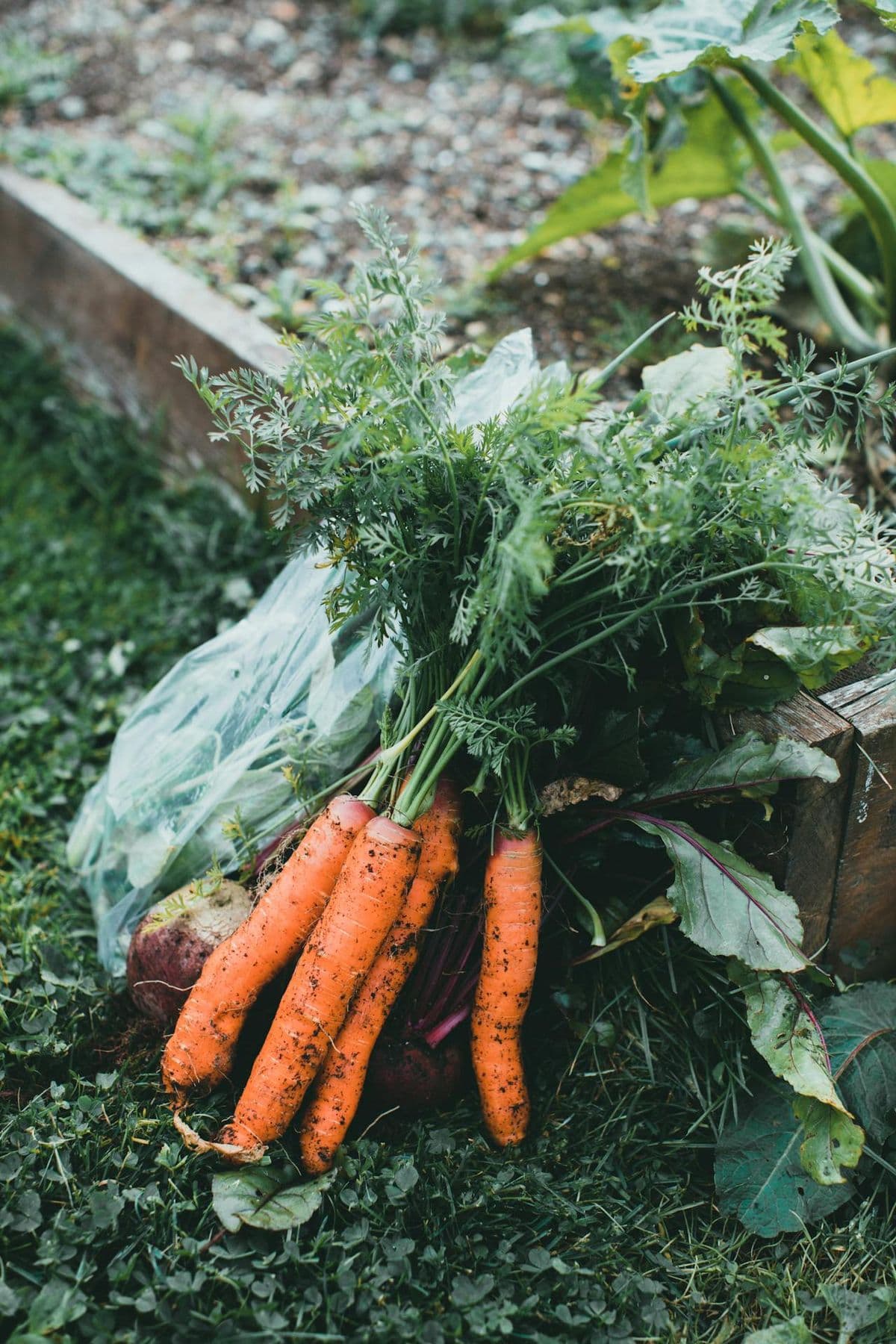 Garden to table